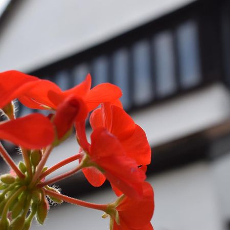 Alma Inn & Dining Rooms Харуич Екстериор снимка